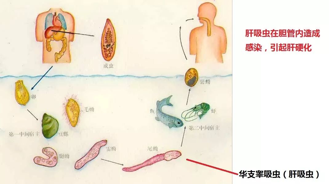 患者即将死亡,一个昂贵的检查救了他一命!