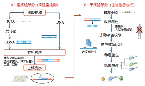 mngs检测流程图(gu w et al. annu rev pathol-mech.2019.