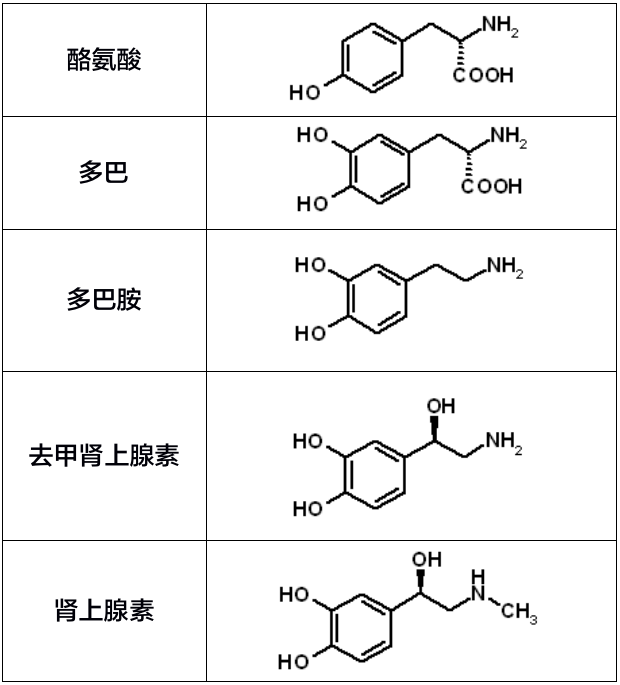 一文理清:肾上腺素,去甲肾上腺素,异丙肾上腺素的区别