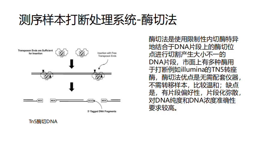 测序样本打断处理系统