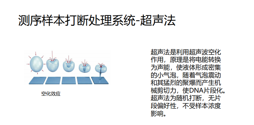 测序样本打断处理系统超声法
