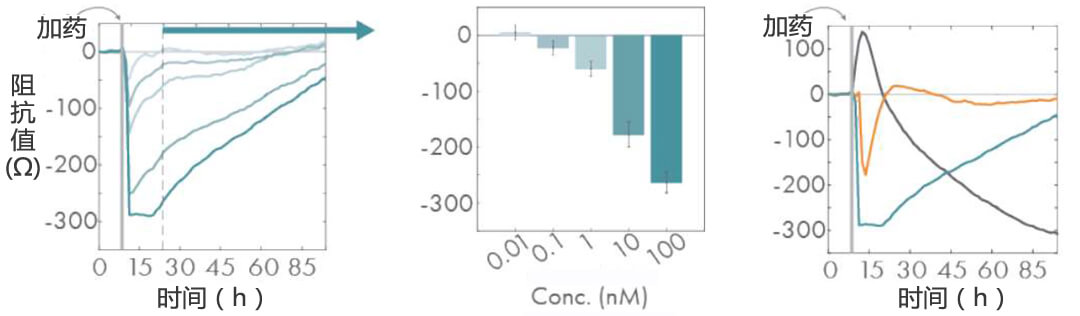 Maestro Z实时无标记细胞功能分析仪 Maestro Z授权代理商 北京泽平