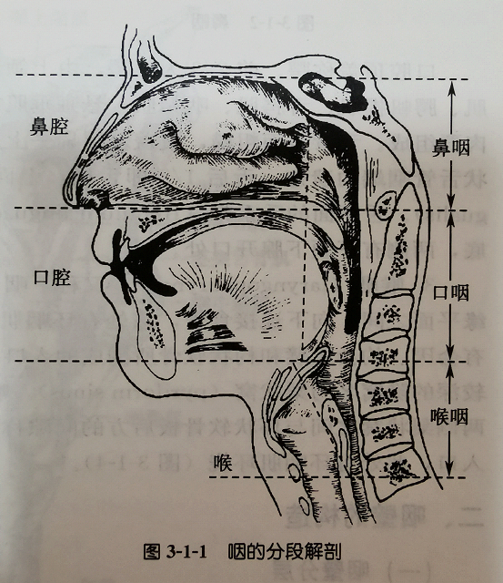 鼻炎和鼻咽癌有必然的联系吗?