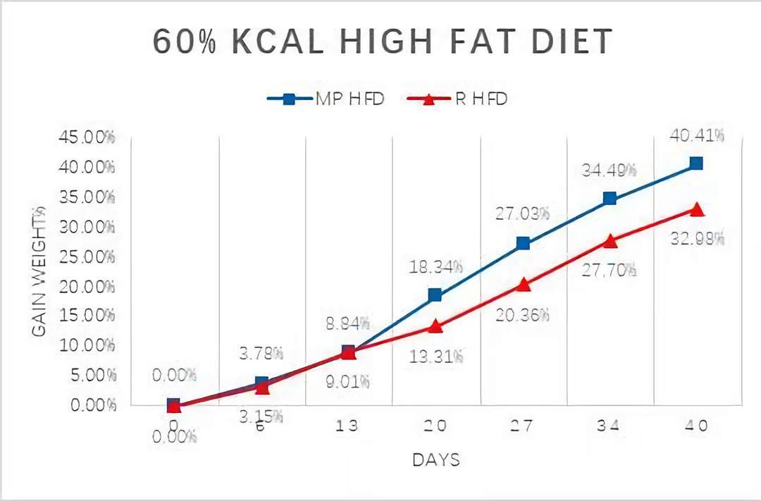 MP动物饲料 高脂饲料用于食源性肥胖症研究 MP北京一级代理商 北京泽平
