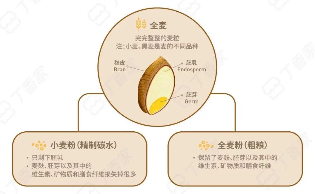 化加工,或虽经碾磨,粉碎,压片等处理仍保留了完整谷粒所具备的胚乳