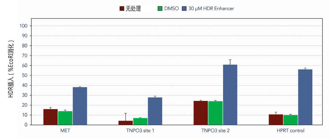 核糖核蛋白复合物RNP