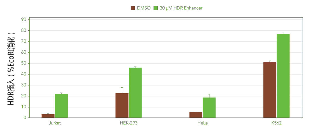 核糖核蛋白复合物RNP
