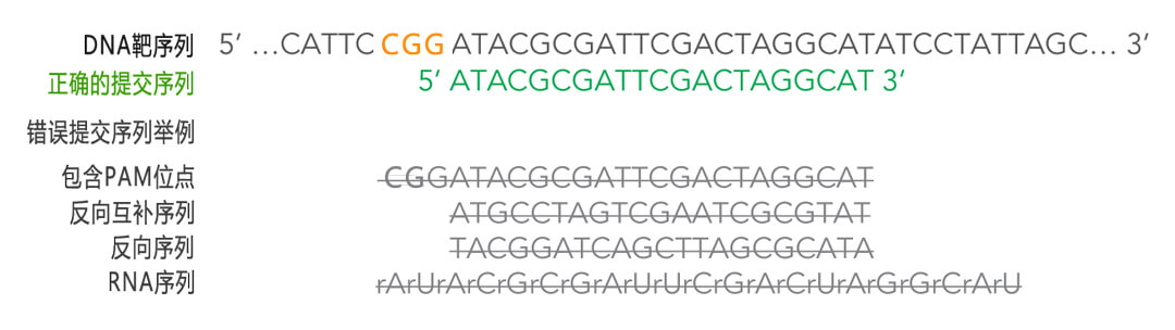 核糖核蛋白复合物RNP