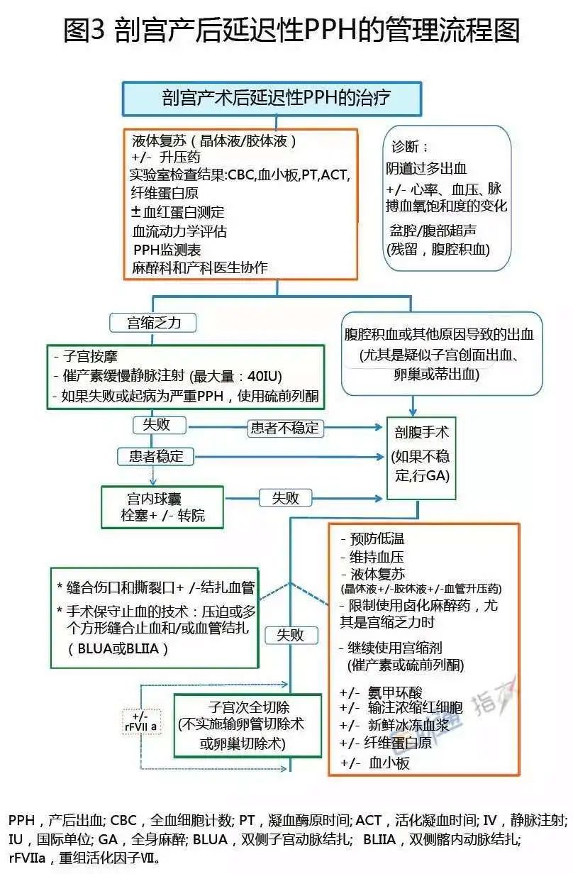 15项急诊急救流程图:胸痛,心梗,出血.