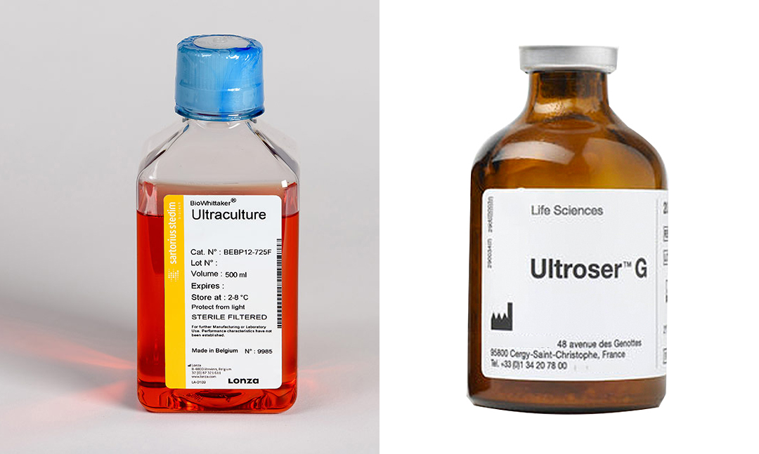 Lonza UltraCULTURE人间充质干细胞无血清培养基