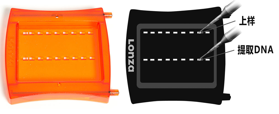 lonza FlashGel回收预制胶盒