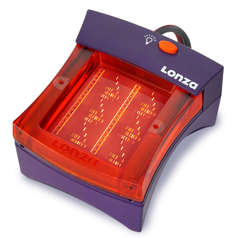 lonza flashgel闪胶系统电泳槽