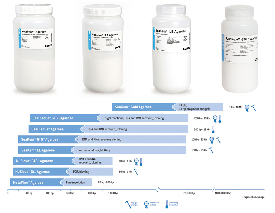 lonza琼脂糖agarose
