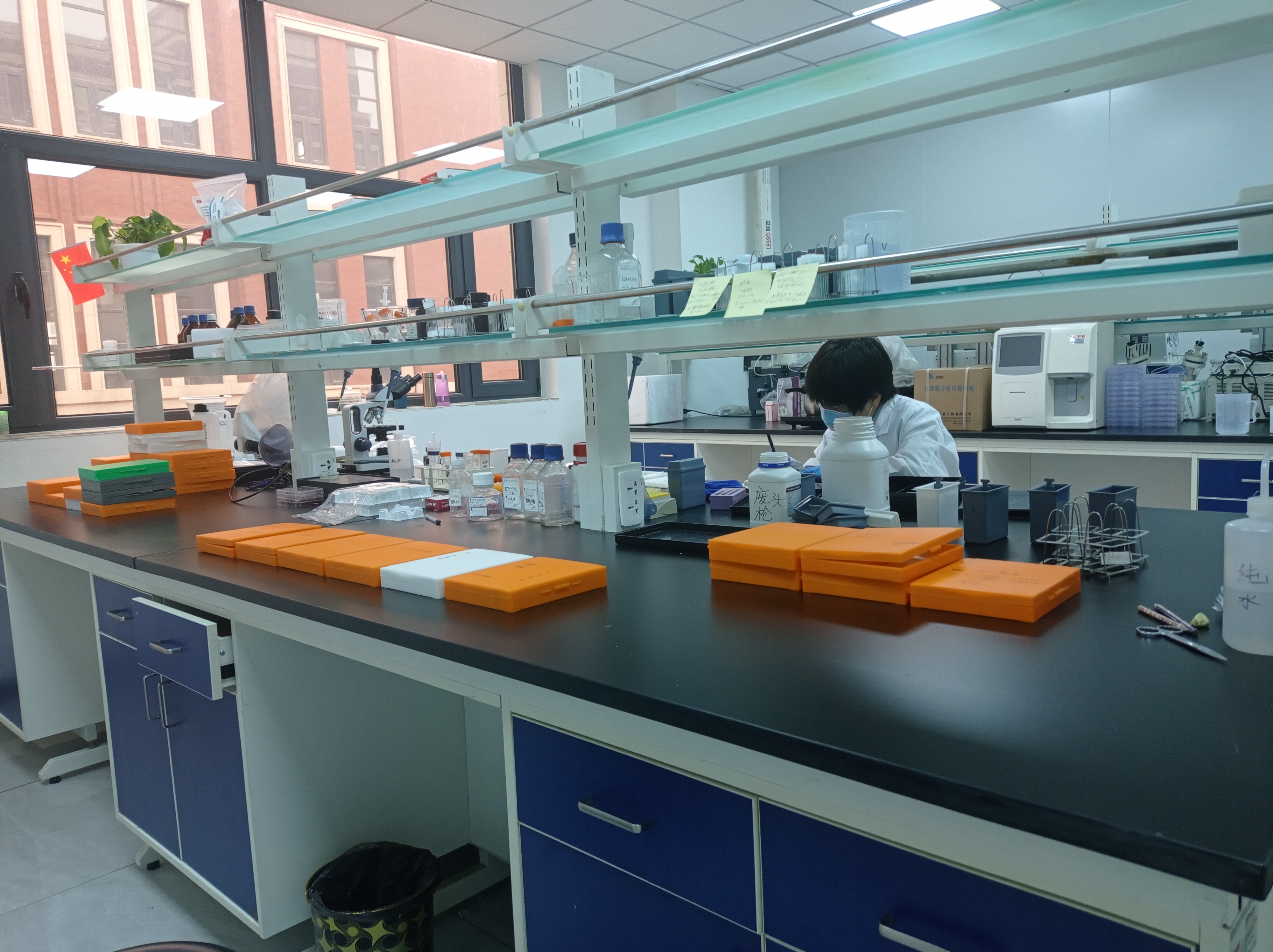 实验室
