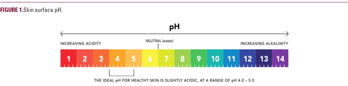 整个身体的ph值是中性的,皮肤的是弱酸性4.0-5.5