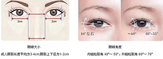4,内眦间距3,眉眼间距 (从图上看是上睑高度)2,眼裂高度1,眼裂长度