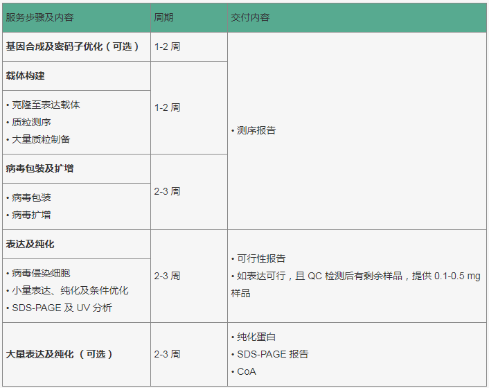 杆状病毒-昆虫细胞蛋白表达服务