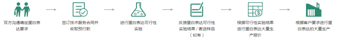 重组蛋白表达服务