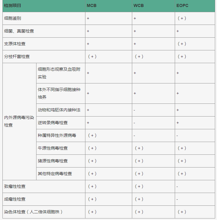 细胞库检测服务
