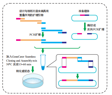 Genecarer Seamless Cloning And Assembly Kit