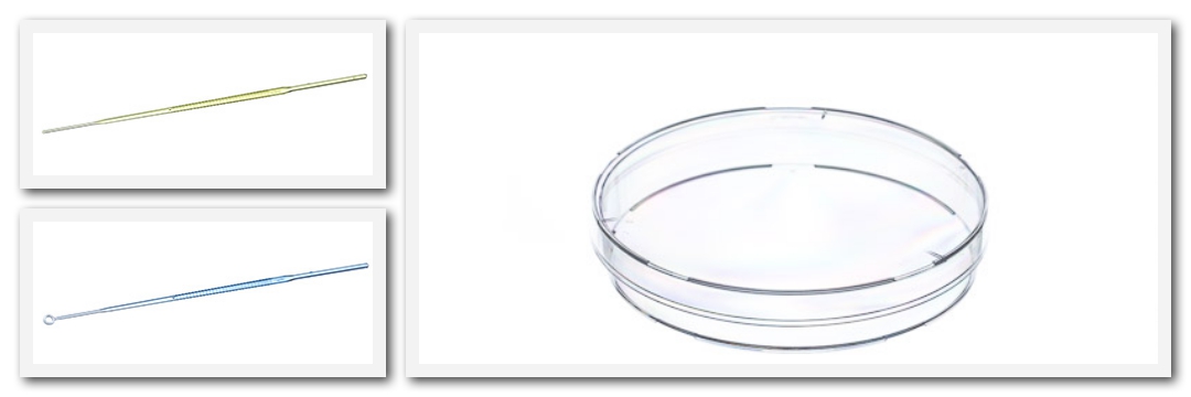 Greiner Bio-One实验耗材一级代理商北京泽平微生物