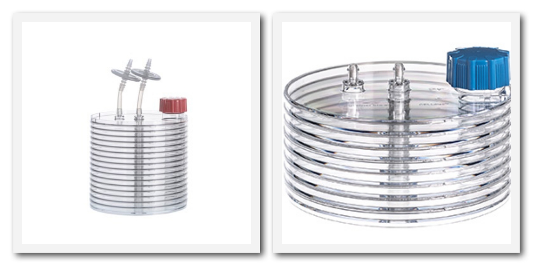 Greiner Bio-One实验耗材一级代理商北京泽平细胞工厂