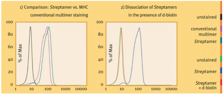 Mhc I Streptamers Cd T