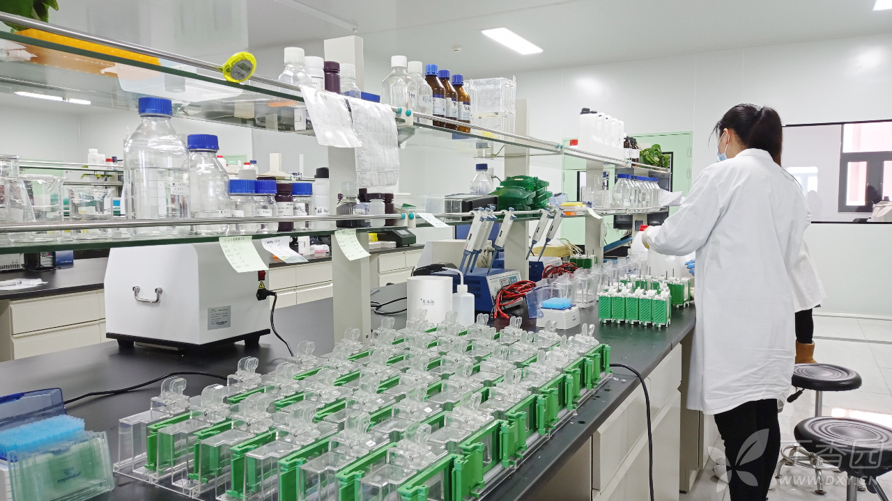 蛋白凝胶电泳实验步骤献给初学者