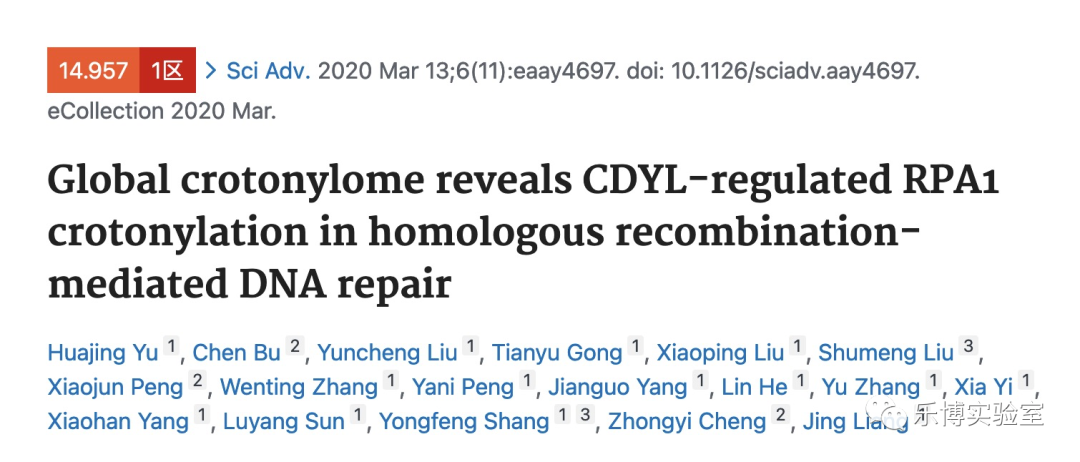 Sci Adv Q Cdyl Dna Rpa