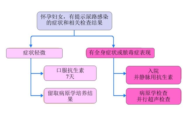 妊娠期泌尿系感染 妊娠期泌尿系感染：不行错失的3点