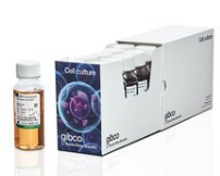 Gibco Fetal Bovine Serum(SA)A3160802