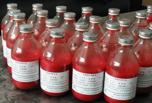 无菌脱纤维狗血