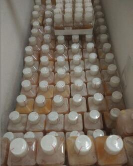 GIBCO血清(新生牛)