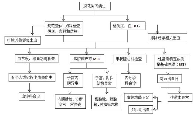 三个经间期出血病例 诊断为啥差那么多 丁香园