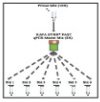 KAPA 文库定量引物 (Ion Torrent)