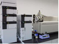 药代动力学服务