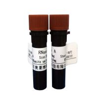 Amylose 树脂 High Flow(国产,进口)