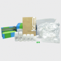 土壤DNA抽提纯化试剂盒（Exgene Soil DNA mini）