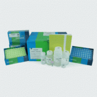 植物DNA抽提纯化试剂盒（Exgene Plant SV）