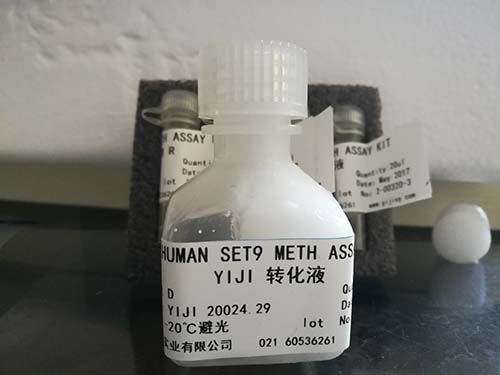 人体hTERT基因甲基化检测试剂盒
