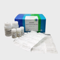 微量基因组DNA抽提纯化试剂盒（Exgene Genomic DNA micro）