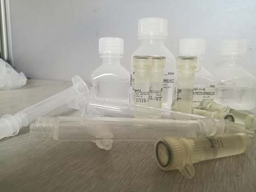 真菌/酵母高尔基体（Golgi apparatus）粗提分离试剂盒