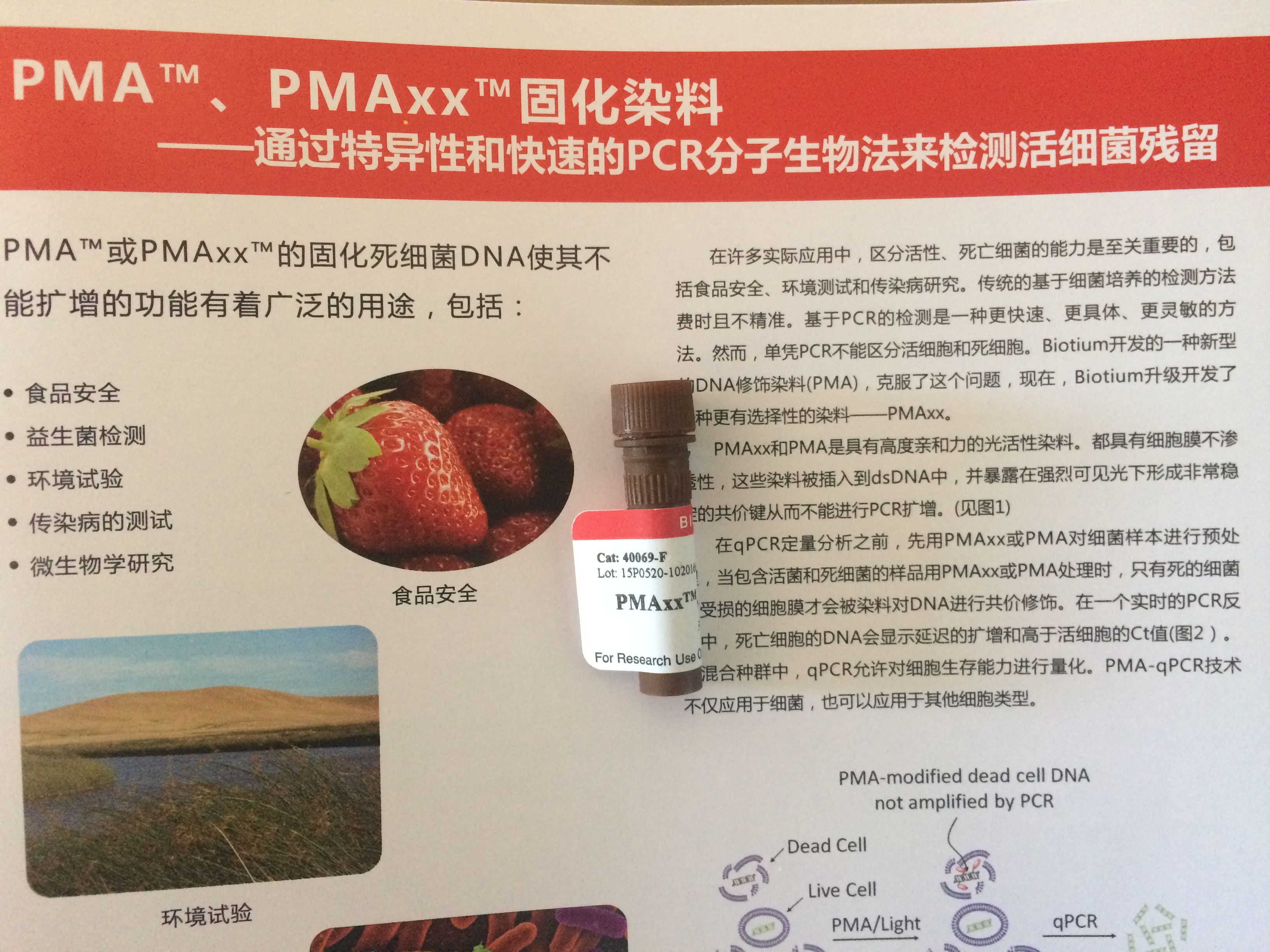 Biotium PMAxx DNA修饰染料 检测活细菌死细菌