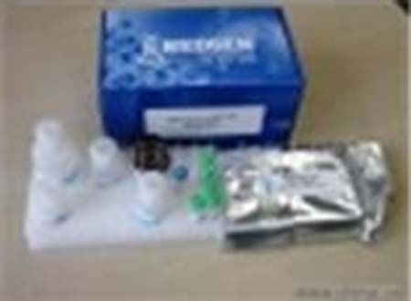虫卵细胞活力和死亡体外裂卵（in vitro excystation）定量检测试剂盒