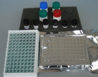 MIP1b试剂盒