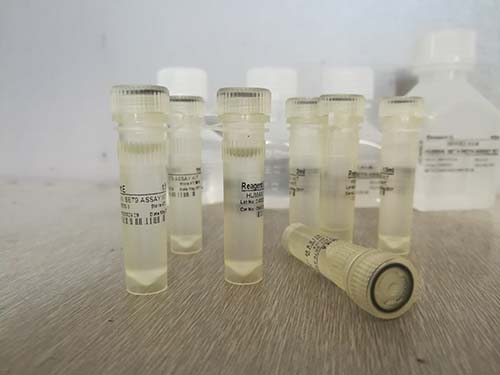 纯化线粒体呼吸控制率（RCR）定量检测试剂盒