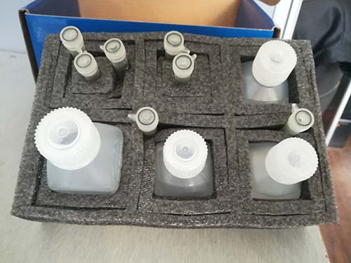 组织膜流动性（fluidity）TMA-DPH荧光检测试剂盒