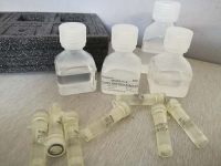 细菌染色体（chromosome）高纯分离试剂盒