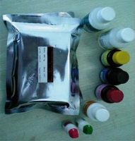 抗胶原蛋白III抗体fh-7a