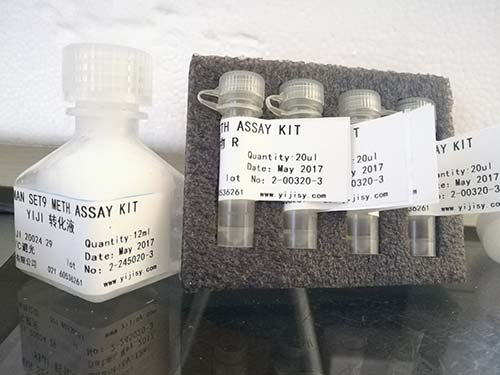 组织超氧化物阴离子荧光法定量检测试剂盒